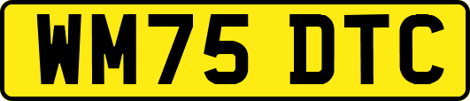 WM75DTC
