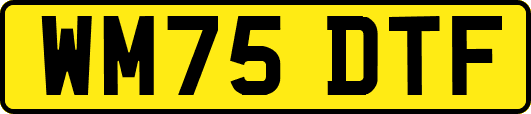 WM75DTF