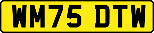 WM75DTW