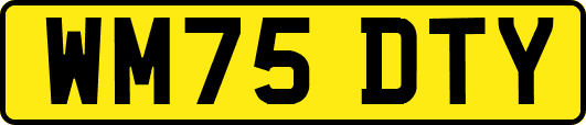 WM75DTY