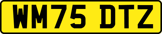 WM75DTZ