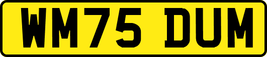WM75DUM