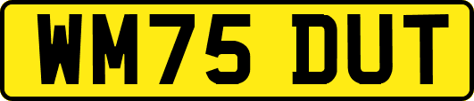 WM75DUT