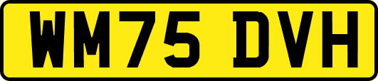 WM75DVH