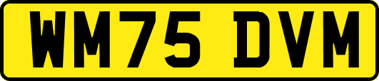WM75DVM