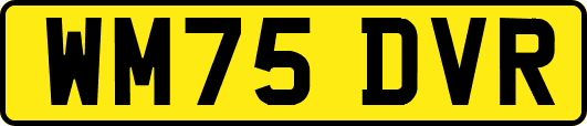 WM75DVR