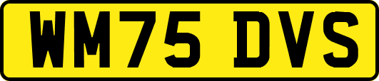 WM75DVS