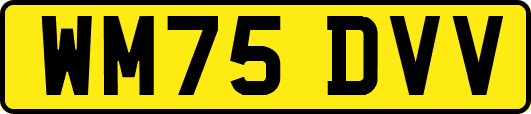 WM75DVV