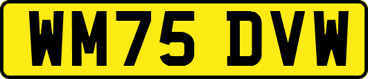 WM75DVW