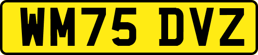 WM75DVZ