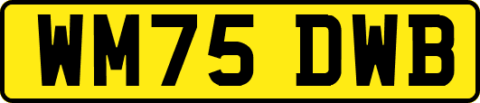 WM75DWB
