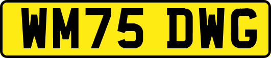 WM75DWG