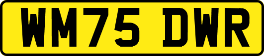 WM75DWR