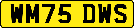 WM75DWS