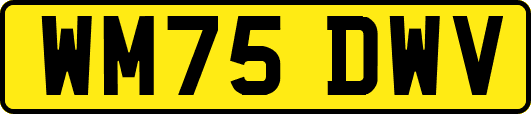 WM75DWV