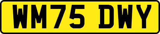 WM75DWY