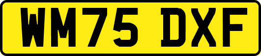 WM75DXF