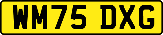 WM75DXG