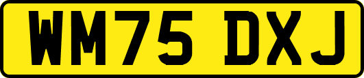 WM75DXJ