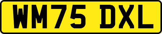 WM75DXL