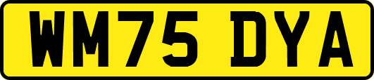 WM75DYA