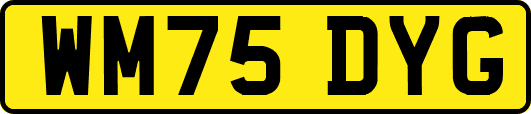 WM75DYG