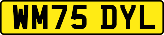 WM75DYL