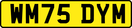 WM75DYM