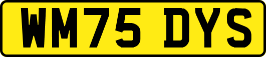 WM75DYS