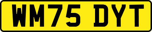 WM75DYT