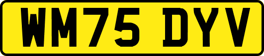 WM75DYV