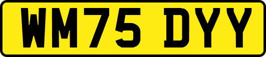 WM75DYY