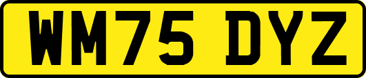 WM75DYZ