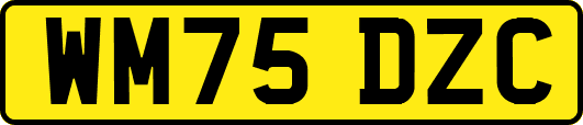 WM75DZC