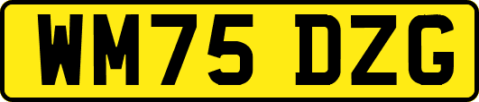 WM75DZG