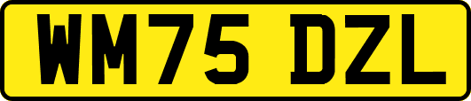 WM75DZL