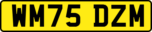 WM75DZM