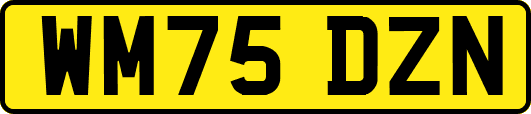 WM75DZN