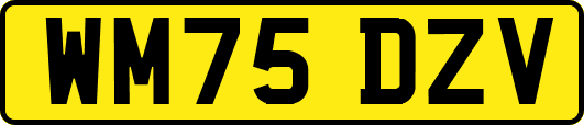 WM75DZV