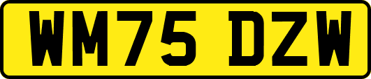 WM75DZW