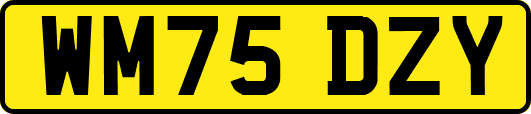WM75DZY