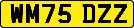 WM75DZZ
