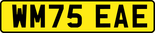 WM75EAE