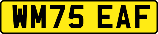 WM75EAF