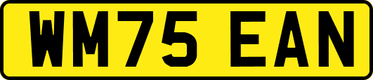 WM75EAN