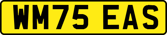 WM75EAS