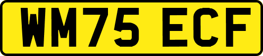 WM75ECF