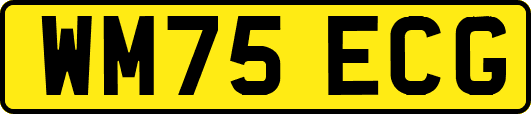 WM75ECG