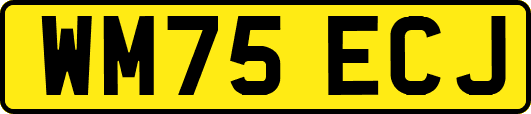 WM75ECJ
