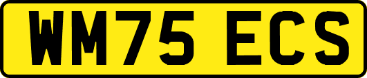 WM75ECS